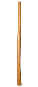 Gloss Finish Didgeridoo (TW1141)